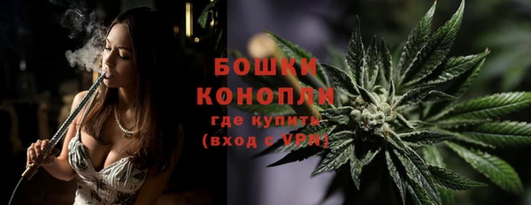 твердый Алзамай
