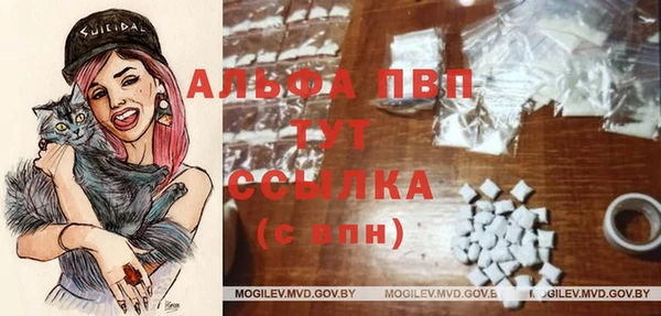 твердый Алзамай