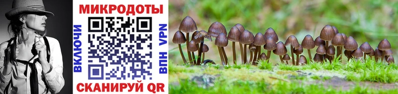 МЕГА зеркало  Саров  Псилоцибиновые грибы GOLDEN TEACHER 